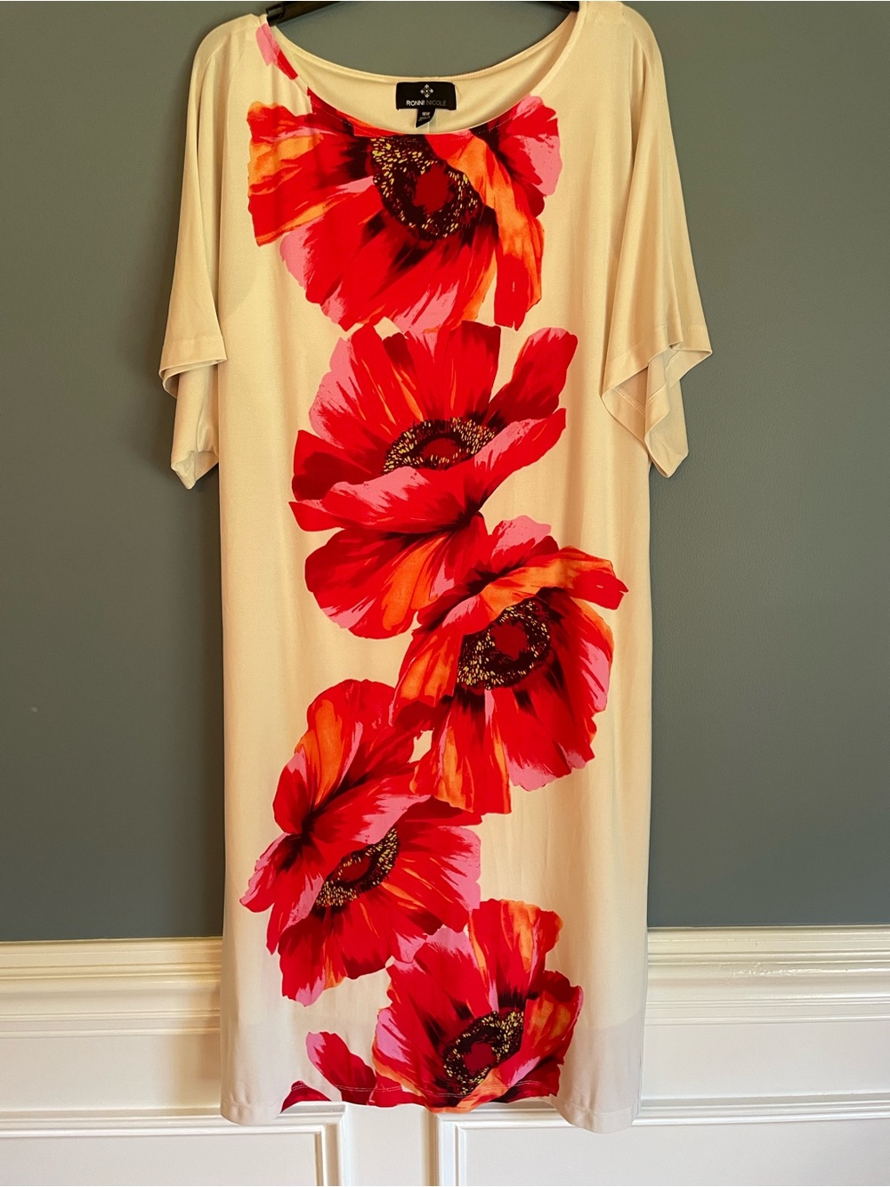 Ronni Nicole Red and Pink Floral Shift Dress